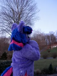 Size: 960x1280 | Tagged: safe, artist:shaggygriffon, derpibooru import, twilight sparkle, g4, fursuit, image, irl, jpeg, photo, ponysuit