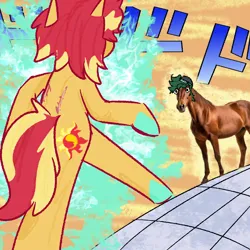 Size: 1080x1080 | Tagged: safe, artist:zoeyhorse, derpibooru import, sunset shimmer, timber spruce, earth pony, horse, pony, unicorn, equestria girls, g4, back scar, bipedal, bunset shimmer, butt, colored hooves, duo, duo male and female, female, hooves, horn, image, irl, irl horse, jpeg, male, mare, meme, oh you're approaching me, photo, plot, scar, stallion