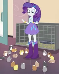 Size: 782x986 | Tagged: safe, derpibooru import, rarity, human, equestria girls, g4, belt, boots, clothes, duckery in the description, high heel boots, image, jpeg, shirt, shoes, skirt, solo, surrounded