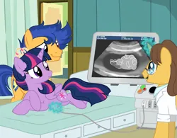 Size: 749x584 | Tagged: safe, artist:serenasparklyt, derpibooru import, doctor horse, doctor stable, flash sentry, twilight sparkle, twilight sparkle (alicorn), alicorn, pegasus, pony, unicorn, g4, female, flashlight, horn, image, jpeg, male, mare, offspring, parent:flash sentry, parent:twilight sparkle, parents:flashlight, preglight sparkle, pregnant, shipping, stallion, straight