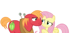 Size: 4792x2250 | Tagged: safe, alternate version, anonymous artist, derpibooru import, big mcintosh, fluttershy, earth pony, pegasus, pony, g4, the break up breakdown, duo, duo male and female, female, floppy ears, fluttermac, hearts and hooves day, high res, image, lidded eyes, looking at each other, looking at someone, male, mare, my little pony, nuzzling, png, shipping, simple background, smiling, smiling at each other, stallion, straight, transparent background, vector