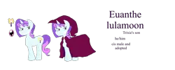 Size: 3017x1220 | Tagged: safe, artist:randumbroni926, derpibooru import, oc, oc:euanthe lulamoon, unofficial characters only, pony, unicorn, blue coat, horn, image, magician, male, parent:trixie, pink eyes, pink mane, png, purple mane, red cloak, simple background, solo, transparent background, wizard