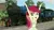 Size: 1583x890 | Tagged: safe, artist:punzil504, derpibooru import, roseluck, human, equestria girls, g4, armpits, arms in the air, belly, belly button, british railways, clothes, female, game, image, jpeg, lner b12, locomotive, midriff, open mouth, open smile, pretty, raised arms, simulator, solo, solo female, steam locomotive, swimsuit, teenager, thin, train