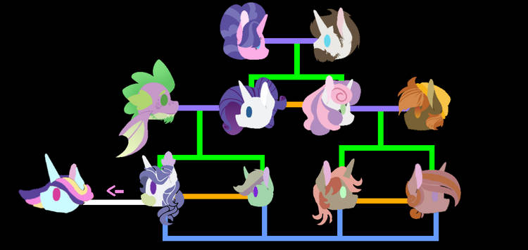 Size: 750x355 | Tagged: safe, artist:twinklelily2311, derpibooru import, button mash, cookie crumbles, hondo flanks, rarity, spike, sweetie belle, dracony, dragon, earth pony, hybrid, pony, unicorn, g4, family tree, female, horn, image, interspecies offspring, jpeg, male, mare, offspring, parent:button mash, parent:rarity, parent:spike, parent:sweetie belle, parents:sparity, parents:sweetiemash, ship:cookieflanks, ship:sweetiemash, shipping, sparity, stallion, straight