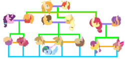 Size: 750x355 | Tagged: safe, artist:twinklelily2311, derpibooru import, apple bloom, applejack, big mcintosh, bright mac, caramel, little mac, pear butter, sugar belle, tender taps, earth pony, pony, unicorn, g4, brightbutter, family tree, female, horn, image, male, mare, offspring, parent:apple bloom, parent:applejack, parent:big mcintosh, parent:caramel, parent:sugar belle, parent:tender taps, parents:carajack, parents:sugarmac, parents:tenderbloom, png, ship:carajack, ship:tenderbloom, shipping, simple background, stallion, straight, sugarmac, transparent background