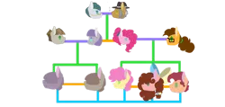 Size: 1280x607 | Tagged: safe, artist:twinklelily2311, derpibooru import, cheese sandwich, cloudy quartz, igneous rock pie, li'l cheese, maud pie, mudbriar, pinkie pie, earth pony, pony, g4, the last problem, cheesepie, family tree, female, image, male, mare, maudbriar, offspring, parent:cheese sandwich, parent:maud pie, parent:mud briar, parent:pinkie pie, parents:cheesepie, parents:maudbriar, png, ship:quartzrock, shipping, simple background, stallion, straight, transparent background