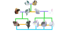 Size: 1280x607 | Tagged: safe, artist:twinklelily2311, derpibooru import, cloudy quartz, double diamond, igneous rock pie, limestone pie, marble pie, trouble shoes, earth pony, pony, g4, family tree, female, image, limediamond, male, mare, offspring, parent:double diamond, parent:limestone pie, parent:marble pie, parent:trouble shoes, parent:troubleshoes clyde, parents:limediamond, parents:marbleshoes, png, ship:marbleshoes, ship:quartzrock, shipping, simple background, stallion, straight, transparent background