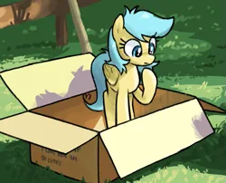 Size: 683x552 | Tagged: safe, artist:plunger, derpibooru import, oc, oc:boxfilly, unofficial characters only, pegasus, pony, box, catchlights, closed mouth, eye clipping through hair, eyes open, female, fence, filly, foal, folded wings, grass, hoof under chin, image, looking down, no nose, outdoors, pegasus oc, png, ponified animal photo, pony in a box, raised hoof, solo, standing, standing on three hooves, text, wings