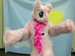 Size: 1280x960 | Tagged: safe, derpibooru import, oc, oc:fluffle puff, unofficial characters only, bronycon, 2015, fursuit, image, indoors, irl, jpeg, photo, ponysuit, solo