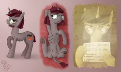 Size: 5000x3000 | Tagged: safe, artist:grafc0ndey, ponerpics import, oc, oc:quill quotes, unofficial characters only, pony, unicorn, :c, >:c, bags under eyes, belly fluff, blanket, bobcut, camera flashes, chest fluff, concave belly, featureless crotch, female, frown, glasses, gradient background, hoof hold, image, leonine tail, looking at you, mare, monochrome, mugshot, on back, png, raised hoof, reference sheet, ribs, short tail, simple background, skinny, standing, stretching