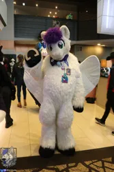 Size: 4000x6000 | Tagged: safe, derpibooru import, oc, oc:reverb, unofficial characters only, 2026, fursuit, image, indoors, irl, jpeg, photo, ponysuit, scotiacon, solo focus