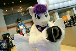 Size: 6000x4000 | Tagged: safe, derpibooru import, oc, oc:reverb, unofficial characters only, 2026, fursuit, image, indoors, irl, jpeg, photo, ponysuit, scotiacon, solo focus
