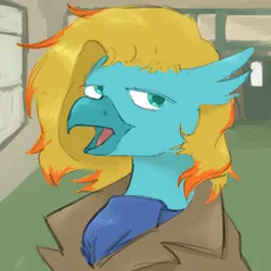 Size: 2000x2000 | Tagged: safe, artist:acey, derpibooru import, oc, unofficial characters only, hippogriff, clothes, colored, detailed background, eyeroll, hippogriff oc, image, png, scarf, trenchcoat