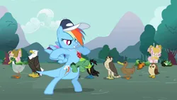 Size: 1280x720 | Tagged: safe, artist:ebotizer, screencap, rainbow dash, tank, bird, duck, eagle, kangaroo, owl, pegasus, pony, tortoise, may the best pet win, image, jpeg, pouch