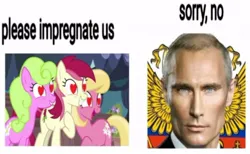 Size: 604x371 | Tagged: suggestive, derpibooru import, daisy, flower wishes, lily valley, roseluck, g4, image, jpeg, vladimir putin