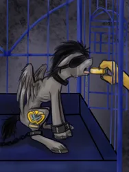 Size: 750x1000 | Tagged: semi-grimdark, artist:jitterbugjive, derpibooru import, pegasus, pony, blindfold, cage, chain, cuffs, feeding, gold, image, png, sitting, solo focus