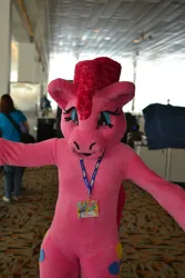 Size: 1536x2304 | Tagged: safe, derpibooru import, pinkie pie, bronycon, g4, 2013, fursuit, image, indoors, irl, jpeg, photo, ponysuit, solo focus, spread arms
