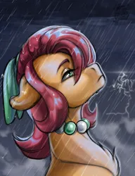 Size: 2433x3160 | Tagged: safe, artist:raychelrage, derpibooru import, oc, oc:pony shane, unofficial characters only, earth pony, 2026, bead necklace, bow, bust, closed mouth, cloud, colored, digital art, earth pony oc, eyebrows, eyelashes, frown, green eyes, hair bow, image, jewelry, lidded eyes, lighting, lightning, looking up, male, necklace, orange fur, outdoors, png, rain, red mane, shading, side view, signature, solo, wet, wet mane