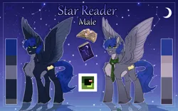 Size: 3249x2032 | Tagged: safe, artist:del', derpibooru import, oc, oc:star reader, unofficial characters only, pegasus, pony, book, commission, fluffy, image, male, pegasus oc, png, reference sheet, solo, stallion, unshorn fetlocks, wings