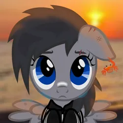 Size: 2400x2400 | Tagged: safe, artist:tweekstudio, derpibooru import, oc, oc:tweek, crab, pegasus, pony, beach, blue eyes, clothes, foal, image, looking at you, looking up, ocean, pegasus oc, pegasus wings, png, real life background, sad, scar, silly, sun, water, wings