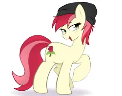 Size: 3785x3000 | Tagged: safe, artist:papermare, derpibooru import, roseluck, earth pony, g4, beanie, hat, image, png, raised hoof, solo
