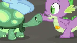 Size: 992x558 | Tagged: safe, derpibooru import, edit, editor:ebotizer, screencap, peewee, rainbow dash, spike, tank, bird, dragon, pegasus, phoenix, pony, tortoise, g4, may the best pet win, image, jpeg, my little pony, pet, pouch