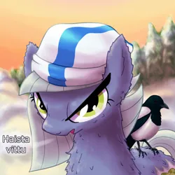 Size: 1080x1080 | Tagged: safe, artist:badday, derpibooru import, limestone pie, bird, earth pony, pony, g4, back fluff, bust, cheek fluff, chest fluff, ear fluff, female, finland, furrowed brow, hat, image, looking at you, mare, outdoors, png, snow, solo, swearing, tree, vulgar