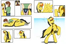 Size: 1536x1024 | Tagged: safe, artist:wolferion, derpibooru import, oc, oc:electuroo, unofficial characters only, human, pegasus, pony, clothes, comic, eyes closed, human to pony, image, male, open mouth, open smile, png, ponysuit, rearing, smiling, solo, transformation, transformation sequence