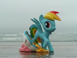 Size: 4000x3000 | Tagged: safe, artist:dingopatagonico, derpibooru import, rainbow dash, pegasus, g4, beach, image, irl, jpeg, outdoors, photo, raised hoof, sand, solo, water