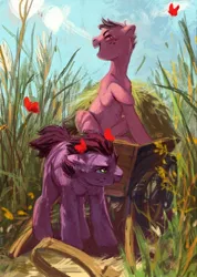 Size: 912x1280 | Tagged: safe, artist:shanikafaceless, derpibooru import, oc, unofficial characters only, butterfly, earth pony, insect, pony, cart, duo, image, male, open mouth, open smile, outdoors, png, smiling, stallion
