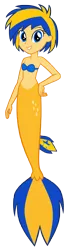 Size: 2578x8990 | Tagged: safe, artist:andoanimalia, artist:mlpfan3991, derpibooru import, oc, oc:flare spark, mermaid, equestria girls, g4, female, image, mermaidized, mermay, png, solo, species swap, vector