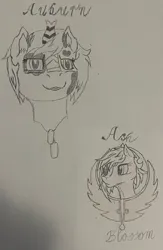Size: 1920x2952 | Tagged: safe, artist:mh148, derpibooru import, oc, oc:paladin ash blossom, oc:sgt auburn horn, earth pony, kirin, pony, fallout equestria, dog tags, fallout equestria: falling ashes, image, jpeg, kirin oc, kirn, logo, pencil drawing, steel ranger, traditional art