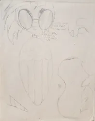 Size: 1969x2504 | Tagged: safe, artist:radiation_pony, derpibooru import, vinyl scratch, g4, grayscale, horn, image, jpeg, monochrome, offscreen character, pegasus wings, pov, practice sketch, sketch, sketch dump, sunglasses, text, traditional art, unicorn horn, wings