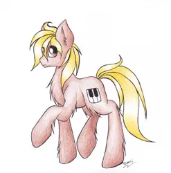Size: 888x899 | Tagged: safe, artist:tomiipl, derpibooru import, oc, oc:thunderled, unofficial characters only, earth pony, pony, chest fluff, colored, colored sketch, fluffy, image, jpeg, looking at you, male, raised hoof, simple background, sketch, stallion, standing, traditional art, white background