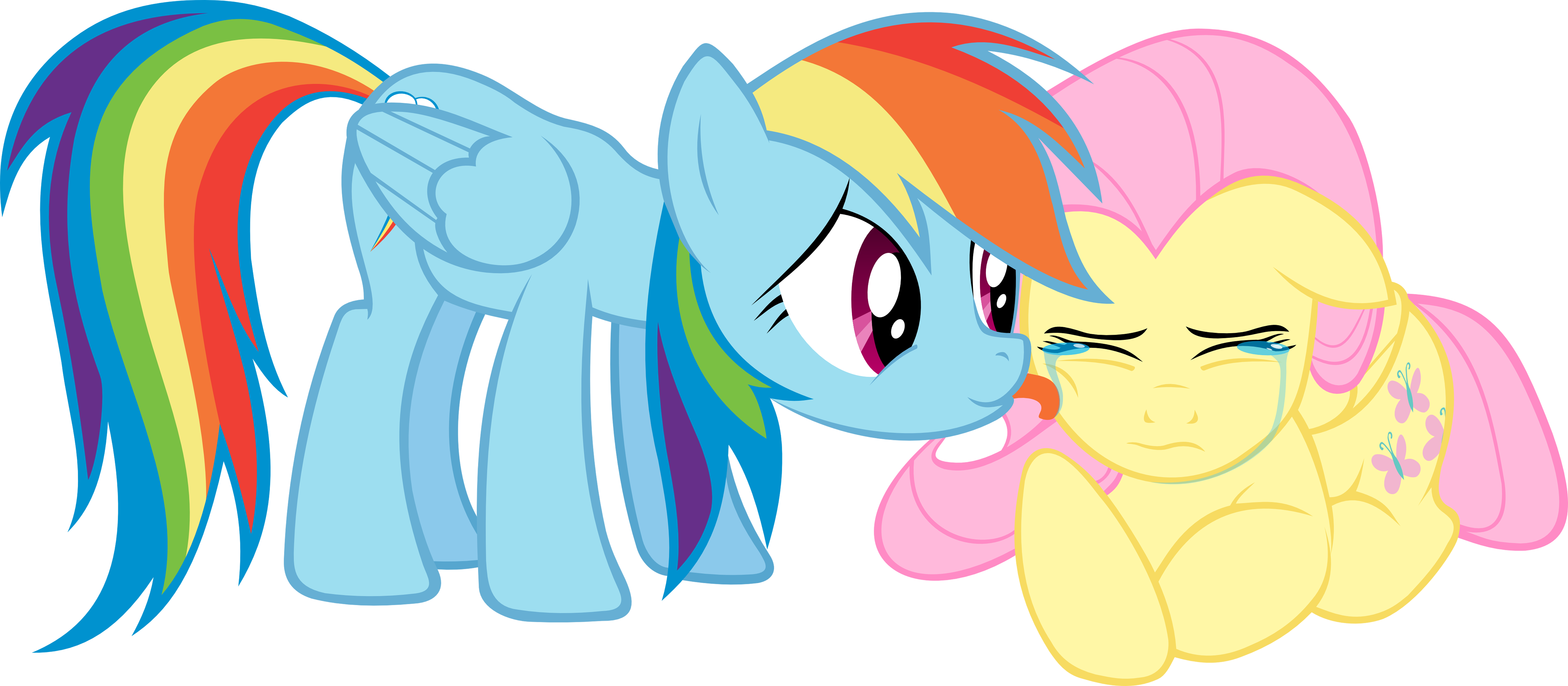 fluttershy rainbow dash vector