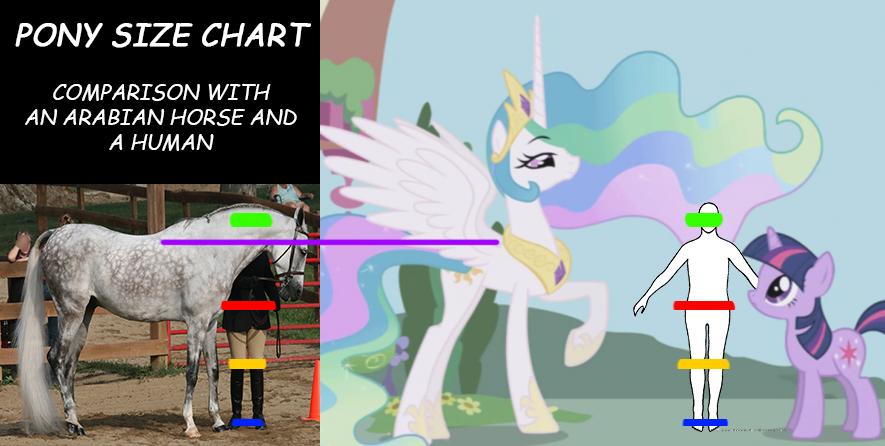 Derpy_Horse4 on X: and for comparison, an average 6-foot tall