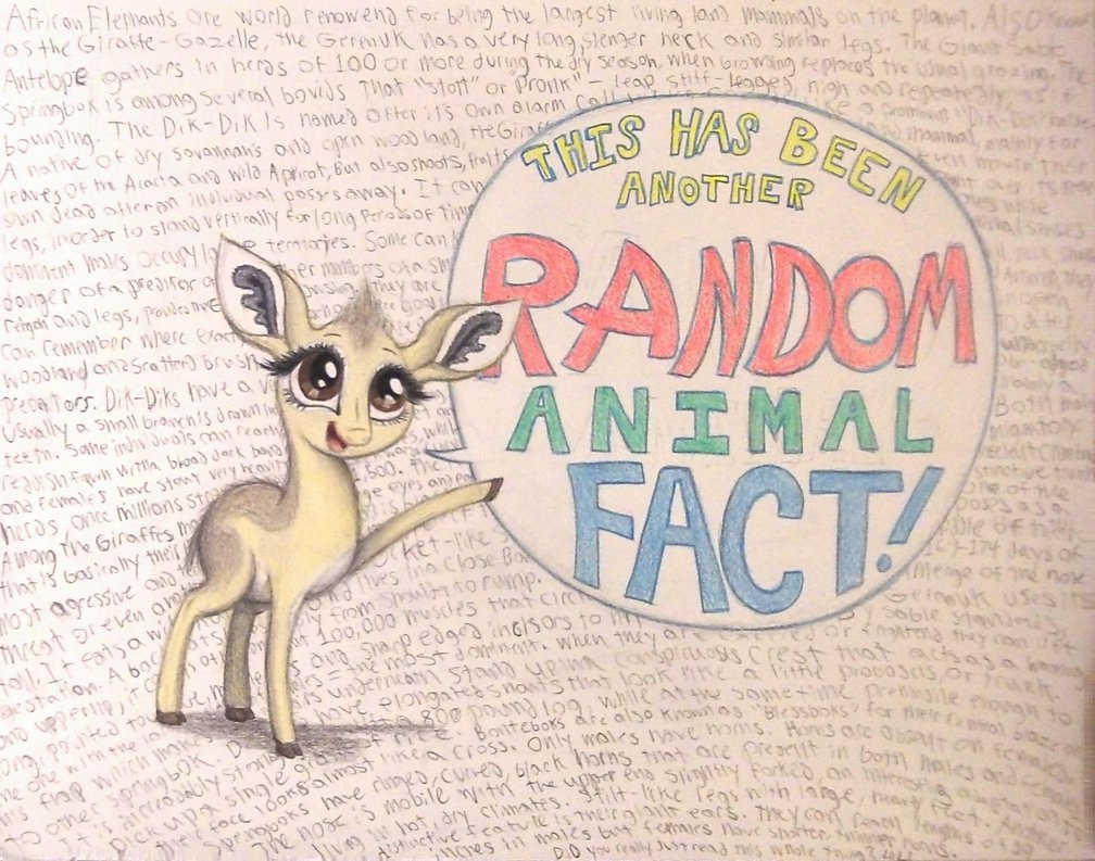 722557 - animal in mlp form, antelope, artist:thefriendlyelephant, cloven  hooves, cute, derpibooru import, dik dik, facts, fluffy, oc, oc:kekere,  safe, solo, speech bubble, text, traditional art, unofficial characters  only, wall of text -