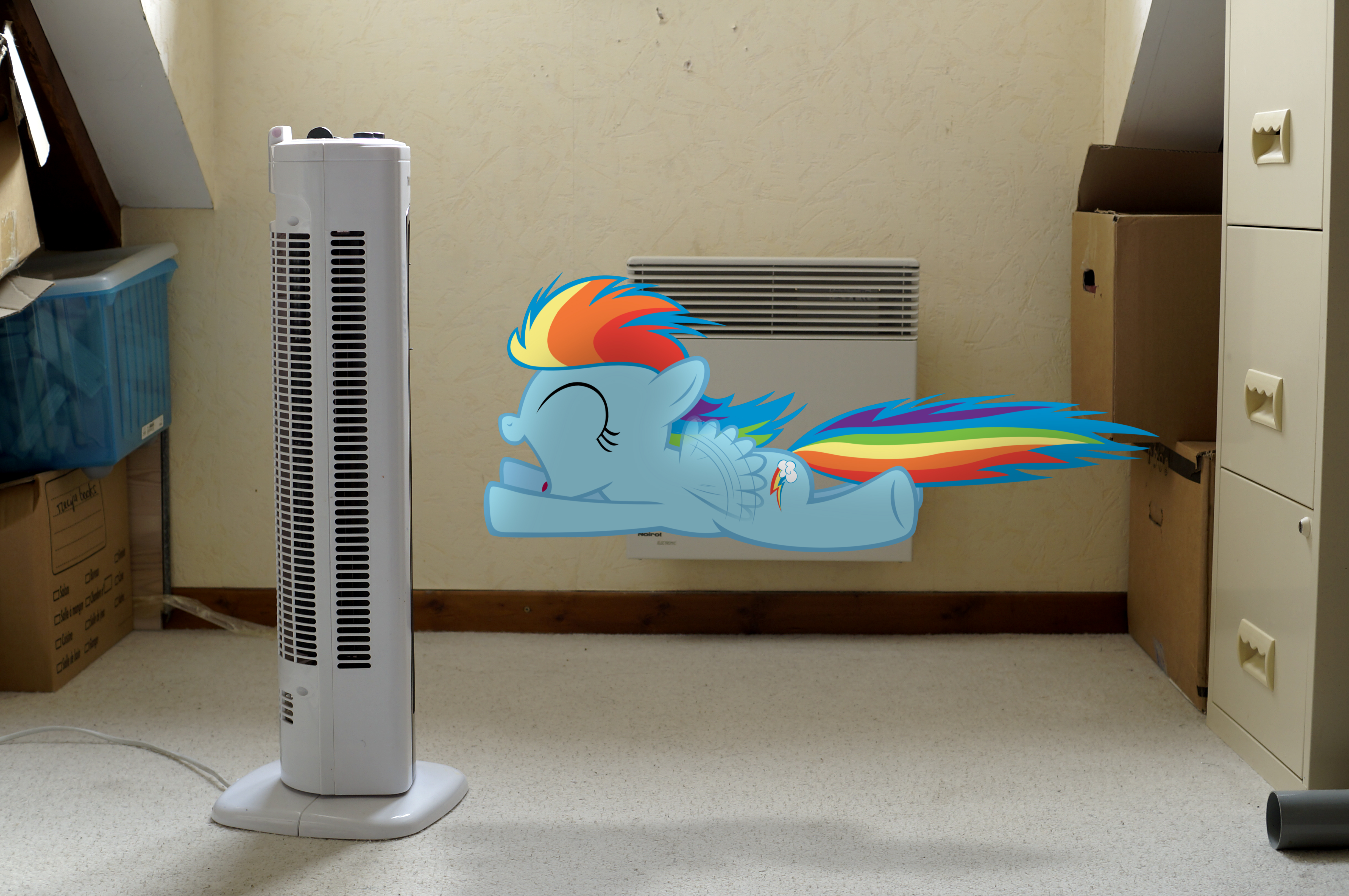 Artist Stormxf3 Derpibooru Import Fanfic My Little Dashie Female Filly Filly Rainbow Dash Irl Photo Ponies In Real Life Rainbow Dash Safe Solo Younger Twibooru