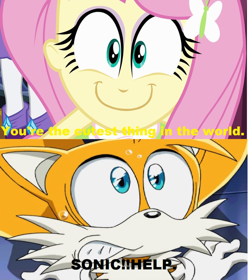 miles tails prower and fluttershy