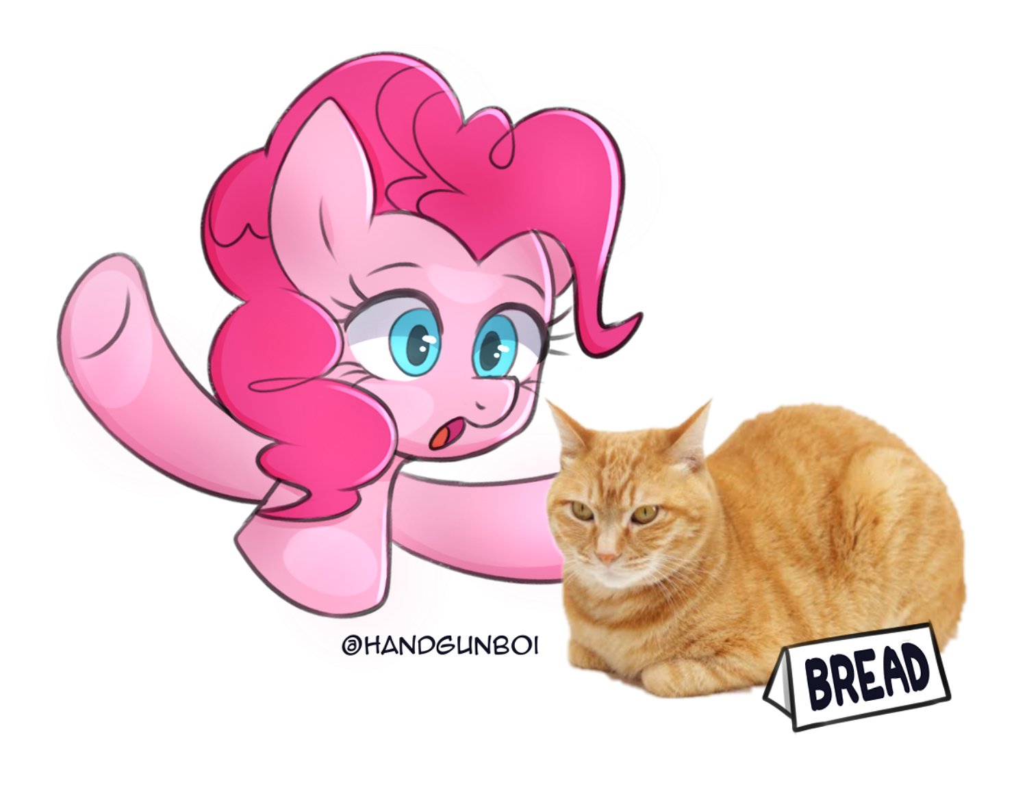 pinkie pie cat